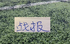 死亡小组第一出线！阿联酋拱火踢法 让北京国安第一射手张玉宁吃到张黄牌